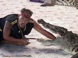 Ngeri! Tangan Pawang Digigit Buaya Saat Atraksi di Kebun Binatang