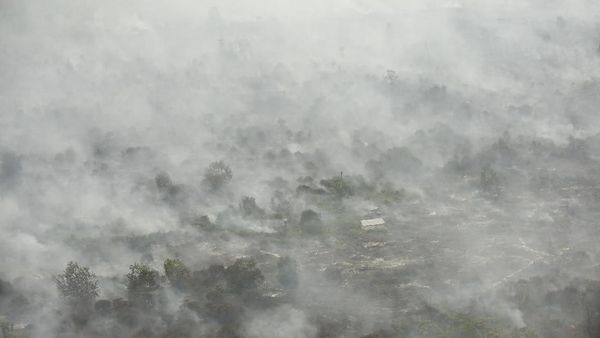 Ancaman Asap dan Kebakaran Hutan saat Asian Games
