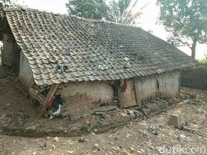 Viral Kisah Nenek di Bandung Huni Gubuk Nyaris Ambruk