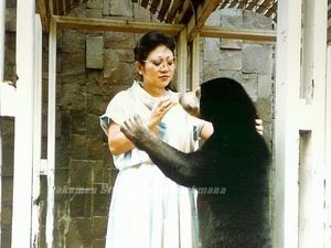 Cerita Mbak Tutut Dapat Hadiah Ultah Beruang Madu dari Suami Cerita Mbak Tutut Dapat Hadiah Ultah Beruang Madu dari Suami