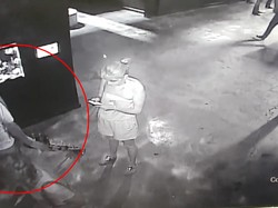 Viral Pencurian Hiu Pakai Kereta Bayi di Akuarium AS