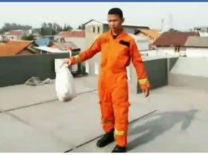 Petugas Damkar Evakuasi Sarang Tawon di Matraman dan Cijantung