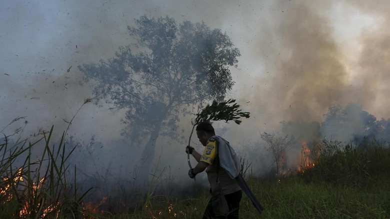 KLHK Gebuk Perusak Hutan Total Rp 18,3 Triliun!