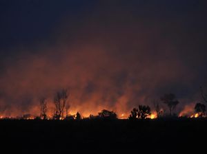 KLHK Acungi Jempol atas Vonis Pembakar Hutan Dihukum Rp 366 M KLHK Acungi Jempol atas Vonis Pembakar Hutan Dihukum Rp 366 M