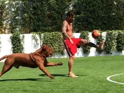 Lionel Messi jadi viral usai videonya sedang bermain bola dengan sang anjing yang diberi nama Hulk. (Instagram @leomessi)