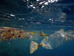 Kita Telah Membuang Jutaan Ton Sampah Plastik ke Lautan dan Inilah Akibatnya