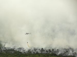 Pekanbaru Mulai Diselimuti Kabut Asap