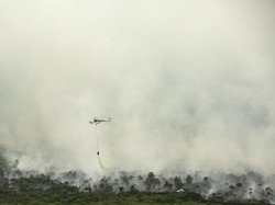 Pekanbaru Mulai Diselimuti Kabut Asap