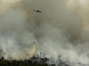 Bakar Ribuan Hektare Lahan, Bos Perusahaan Ini Jadi Tersangka