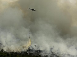 Bakar Ribuan Hektare Lahan, Bos Perusahaan Ini Jadi Tersangka