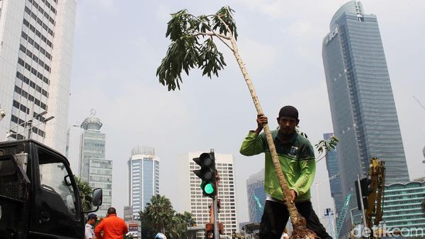 Dinas Kehutanan Hijaukan Bundaran HI