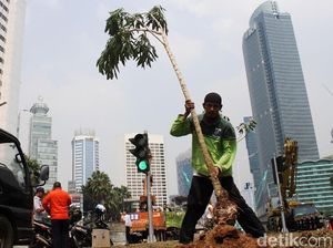 Dinas Kehutanan Hijaukan Bundaran HI