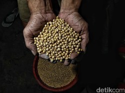 Pertama Kali dalam Sejarah, Pabrik Tempe RI Dibuka di China