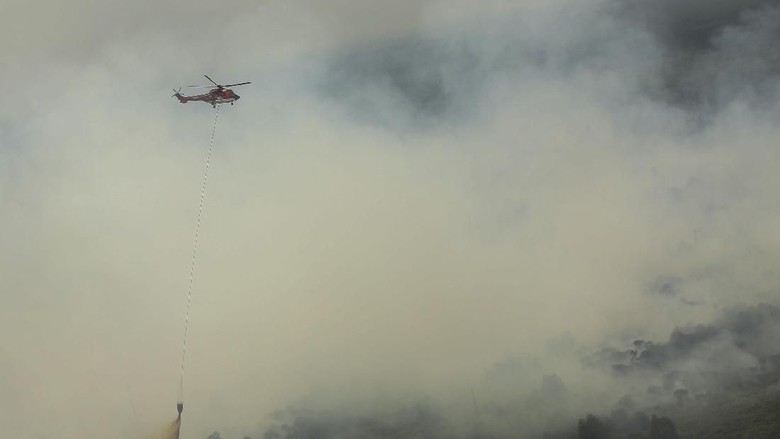 885 Hektare Hutan Jambi Terbakar, Ini Sebarannya 885 Hektare Hutan Jambi Terbakar, Ini Sebarannya