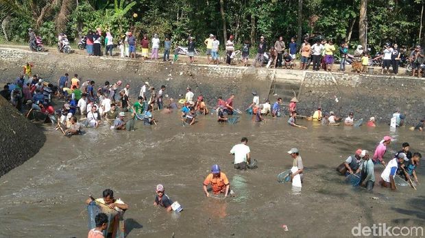 Meriahnya Tradisi Ribuan Warga Purworejo Sambut Kemarau