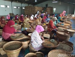 Begini Proses Pengolahan Biji Kopi di Pabrik Kopi yang Berusia Seabad