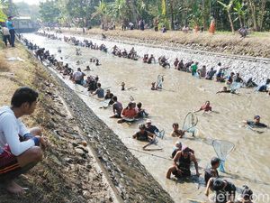 Meriahnya Tradisi Ribuan Warga Purworejo Sambut Kemarau