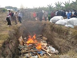 Karantina Musnahkan Benih dan Komoditas Hewan Senilai Rp 2 Miliar