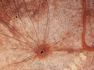 Bukan Foto Bakteri, Ini Tanah Kering di Australia