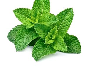 7 Manfaat Daun Mint yang Nggak Disangka