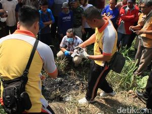 Misteri Mayat Perempuan Hangus Terbakar di Hutan Jati Blora Misteri Mayat Perempuan Hangus Terbakar di Hutan Jati Blora