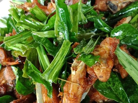 Ayam tangkap