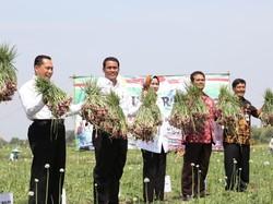 Bawang Merah Ekspor, Mentan: Dunia Apresiasi Pertanian RI