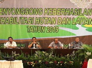 KLHK Dukung Keberhasilan Penanaman Hutan dengan Corrective Actions