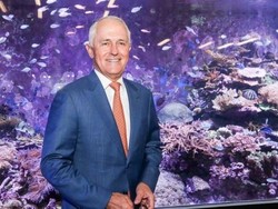 Donasikan Rp 4 T, PM Australia Dinilai Lakukan Keputusan Sepihak