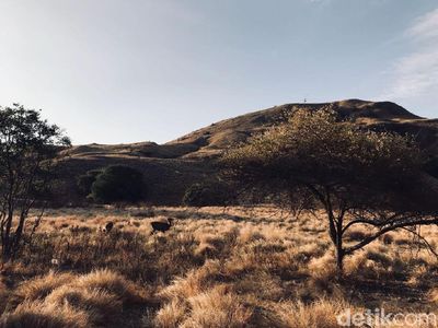 Foto: Begini Indahnya Gili Lawa Sebelum Kebakaran