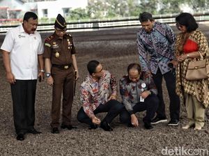 Momen Anies Resmikan Venue Equestrian Asian Games Momen Anies Resmikan Venue Equestrian Asian Games