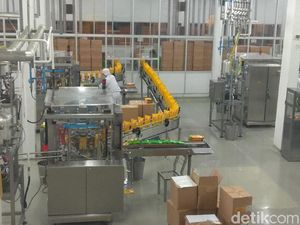 Potensi Ekspor Besar, Ini yang Dibutuhkan Industri Minyak Kelapa Sawit