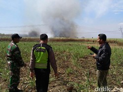 5 Hektar Lahan di Lamongan Terbakar, Ini Antisipasi Polisi dan Warga