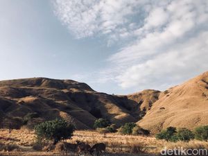 Mengenal Gili Lawa, Pulau Cantik yang Baru Kebakaran