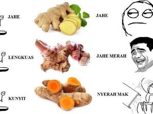 Bumbu Dapur Juga Bisa Bikin Ngakak Kalau Jadi 10 Meme Ini