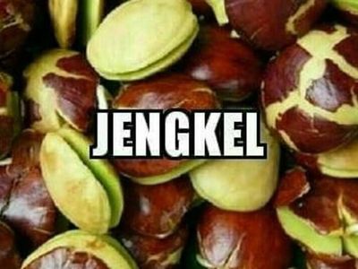 Stress Jengkol Mahal? Yuk, Intip Dulu Meme Jengkol Kocak Ini