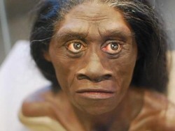 Uji DNA Manusia Kerdil di Flores Tunjukkan Misteri Baru