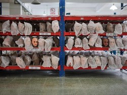 Lika-liku Pengembangan Robot Seks Berbasis AI di China