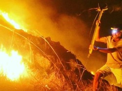 Wisatawan Asing Diperiksa dalam Kasus Kebakaran Gili Lawa