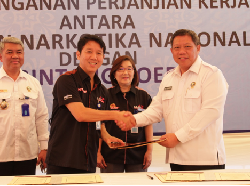 PT Bintang Toedjoe Gandeng BNN Perangi Narkoba Melalui Jahe Merah