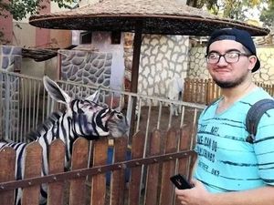Duh! Keledai di Kebun Binatang Mesir Dicat Belang Biar Mirip Zebra