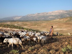 Kisah Orang-orang Nomaden Terakhir di Bumi