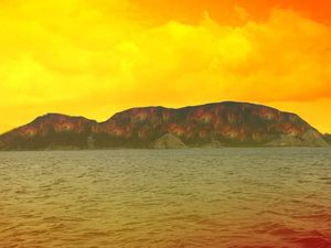 Kawasan Cagar Alam Wae Wuul di Manggarai Barat Terbakar