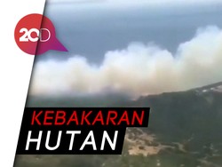 Hutan di Spanyol Jadi Korban Gelombang Panas Eropa