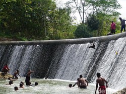 Hormati Waduk Desa, Petani Trenggalek Larung Kepala Kerbau
