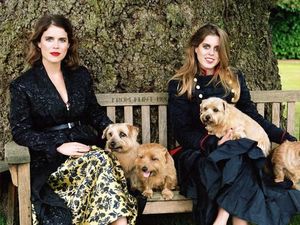 Putri Inggris Ini Nangis karena Topinya Jadi Lelucon di Royal Wedding