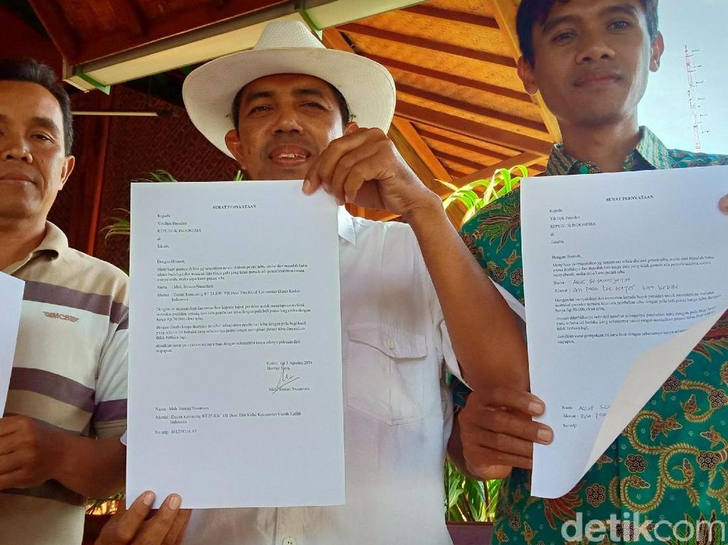 Petani Tebu Minta Presiden Terbitkan Inpres Beli Tebu Sistem Putus Petani Tebu Minta Presiden Terbitkan Inpres Beli Tebu Sistem Putus
