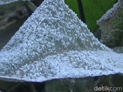 Kawasan Bromo Membeku Lagi