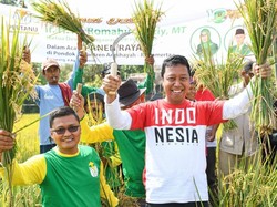 Rommy Ingin Sawah Percontohan PPP di Karawang Bisa Bantu Petani