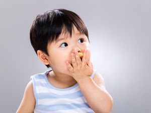 Makan Biskuit Bisa Bantu Menstimulasi Gigi Si Kecil Lho, Bun Makan Biskuit Bisa Bantu Menstimulasi Gigi Si Kecil Lho, Bun